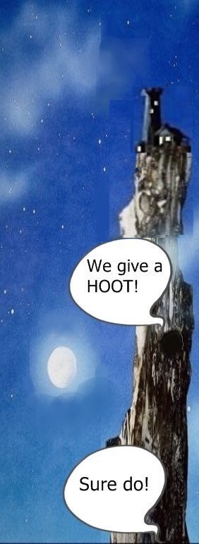 A slogan, descriptive of ebookbeget.net:  We give a Hoot!; Sure do!